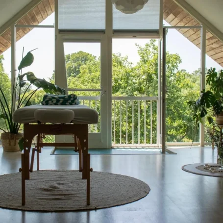 Licht interieur met planten en uitzicht op groen vanuit een grote glazen deur.